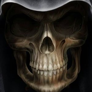 Meet your Posher, Alan